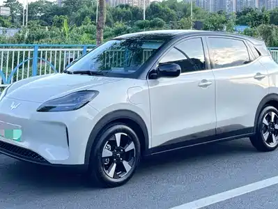 Wuling Motors Binguo PLUS 2024