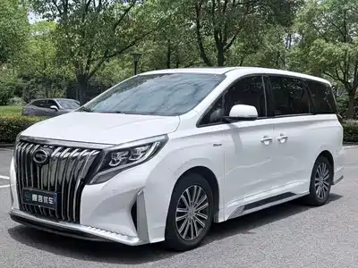 GAC Trumpchi M8 2021