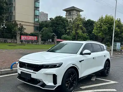 Voyah Auto FREE 2023