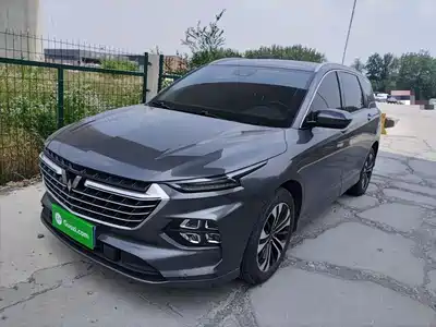 Wuling Motors Victory 2022