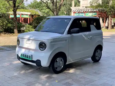 Geely Galaxy Panda 2024