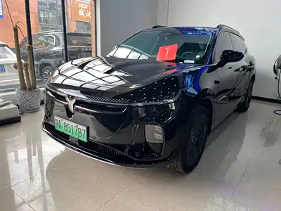 Voyah Auto Zhiyin 2024