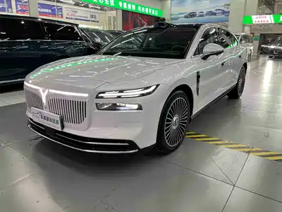 Voyah Auto Zhuiguang L 2025