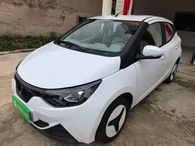 JMCG New Energy Little Kirin 2025
