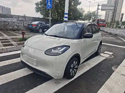 Wuling Motors Bingo 2023