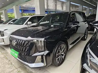 GAC Trumpchi GS8 2021