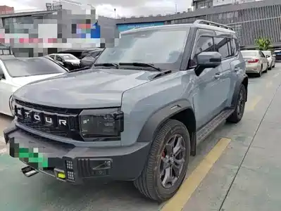 Jetour Shanhai T2 2024