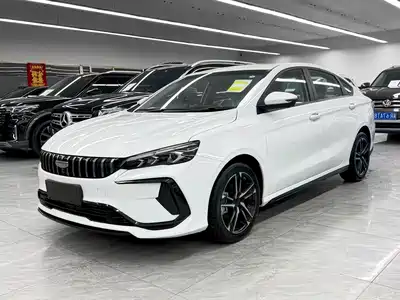 Geely Binrui 2024