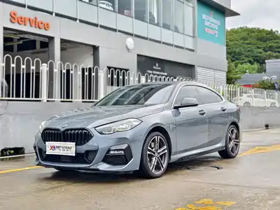 BMW 2 Series (Import) 2021