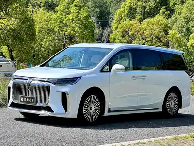 Voyah Auto Dreamer 2024