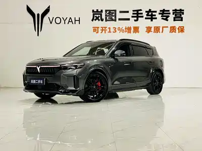 Voyah Auto FREE 2024