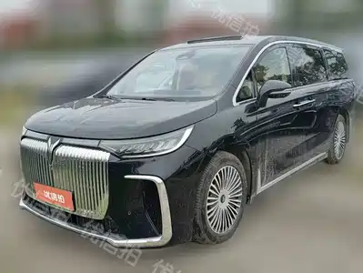 Voyah Auto Dreamer 2024