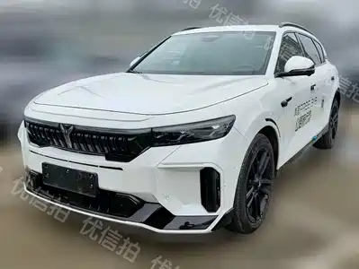 Voyah Auto FREE 2024