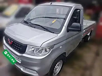 Wuling Motors Rongguang New Truck 2019