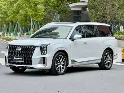 GAC Trumpchi GS8 2021