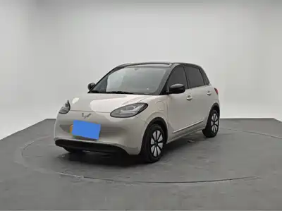Wuling Motors Bingo 2024