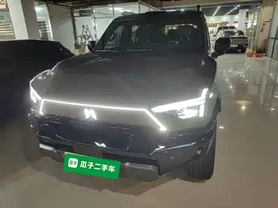 Mengshi M817 2025