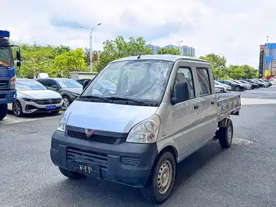 Wuling Motors Rongguang Mini Truck 2017