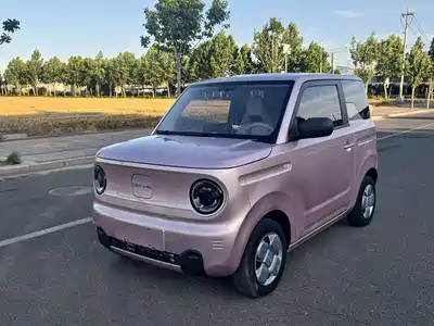 Geely Galaxy Panda 2023