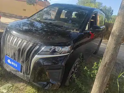BAW (Beijing Automobile Works) Ruisheng Ace M7 2026