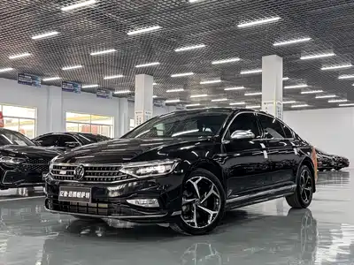Volkswagen Magotan 2024