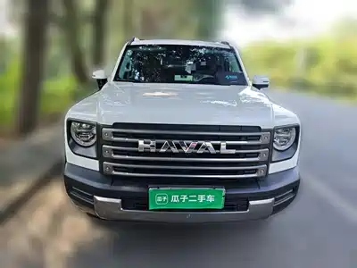 Haval Meng Long NEV 2024