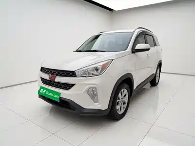 Wuling Motors Hongguang S3 2019
