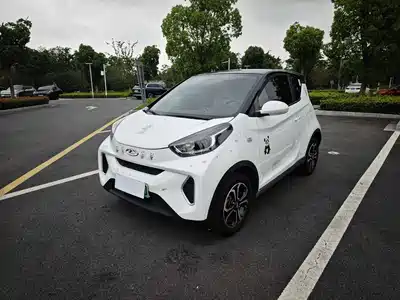 QQ New Energy Little Ant 2021