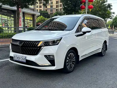 Wuling Motors Jiachen 2022