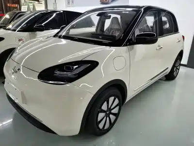 Wuling Motors Bingo 2025