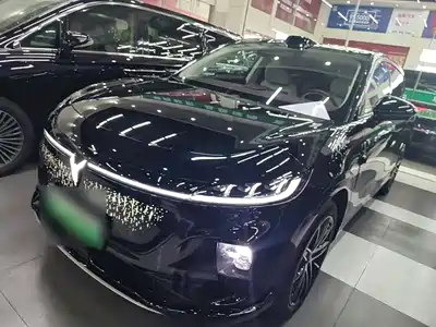 Voyah Auto Zhiyin 2025