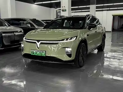 Voyah Auto Zhiyin 2024