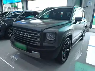 Haval Meng Long NEV 2025