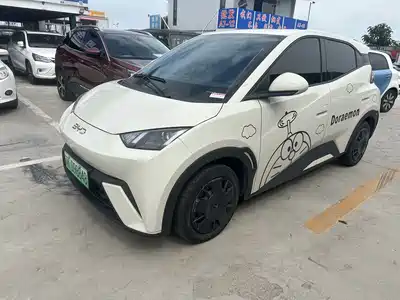 BYD Seagull 2024