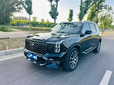 GAC Trumpchi GS8 2021