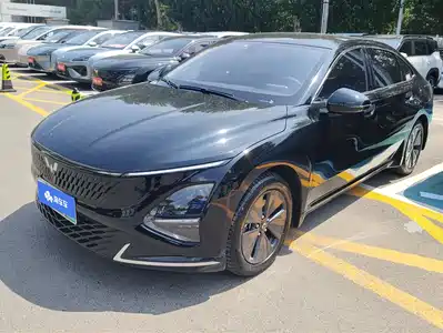 Wuling Motors Xingguang 2024