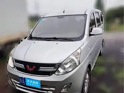 Wuling Motors Rongguang V 2016
