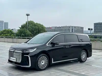 Voyah Auto Dreamer 2024