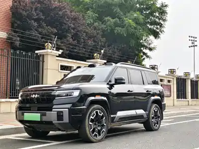 Fang Cheng Bao Leopard 8 2024