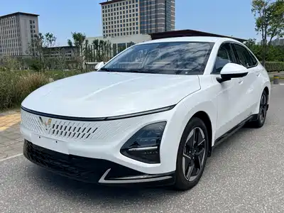 Wuling Motors Xingguang 2025