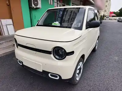 Geely Galaxy Panda 2025