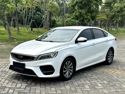 Geely Binrui 2019