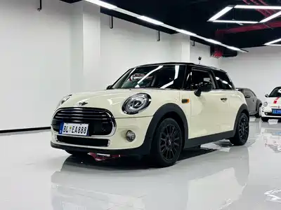 MINI MINI 2014
