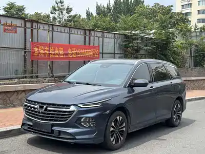 Wuling Motors Victory 2022