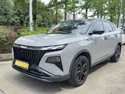 Dongfeng Aeolus Haoji 2022