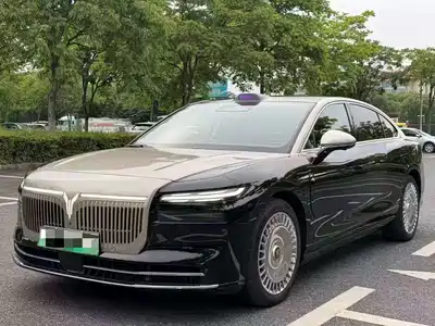 Voyah Auto Zhuiguang L 2025