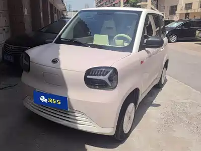 Zhido Rainbow 2024