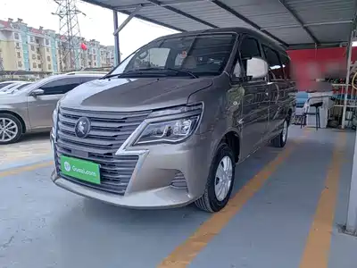 Dongfeng Fengxing Lingzhi 2025