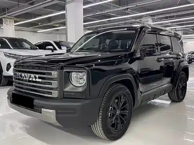 Haval Meng Long NEV 2024