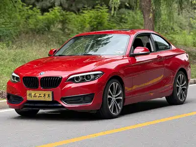 BMW 2 Series (Import) 2019